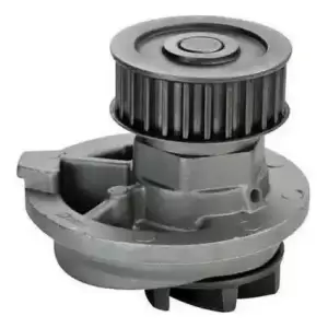Bomba de Agua Chevrolet S10 Apache 2.4 1996-2012