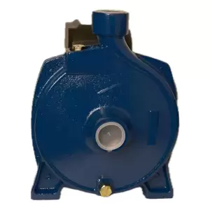 Bomba de Agua Centrífuga 1 HP 1x1