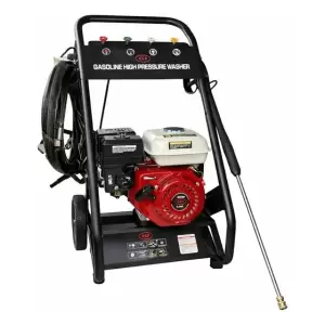 Hidrolavadora Japonesa 3000 PSI 170 Bar Profesional